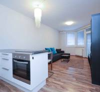 Küchenecke und Wohnzimmer in einer 2-Zimmer-Wohnung mit Herd und Sofa.