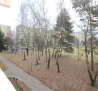 Park mit Gehweg und Bänken in Bratislava - Dúbravka, in der Cabanova-Straße.