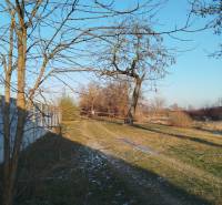 Grundstücke zum Wohnen in Galanta in der Hodská-Straße, verschneite Landschaft mit Bäumen.