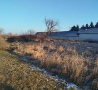 Bauland an der Hodská-Straße in Galanta mit Grasbewuchs und einigen Sträuchern.