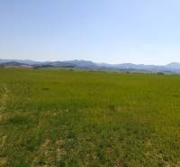 IMG_20210428_111953 (1).jpg