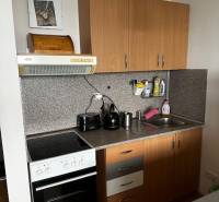 Küche in einer Einzimmerwohnung mit Küchenzeile und Geräten, Boden mit Holzdekor.