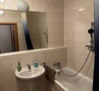 Badezimmer in einer Einzimmerwohnung mit Badewanne, Waschbecken und Spiegel, helle Fliesen.