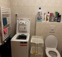 Ein kleines Badezimmer mit Waschmaschine und Toilette in einer Einzimmerwohnung. Reinigungsmittel sind vorhanden.