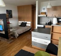 Innenraum einer Einzimmerwohnung mit Holzboden, Bett und Fernseher.