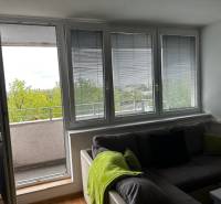 Helles Wohnzimmer in einer Einzimmerwohnung mit Sofa und Balkontüren.