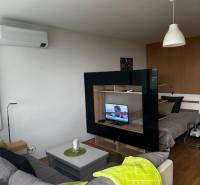 Wohnzimmer in einer Einzimmerwohnung mit Holzboden und abgetrenntem Schlafzimmer.