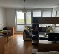 Wohnzimmer in einer Einzimmerwohnung mit Holzboden und Einrichtung.