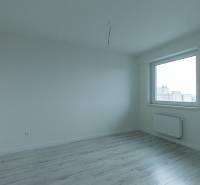 Ein leerer Raum in einer Zweizimmerwohnung mit Holzdekorboden und einem großen Fenster.