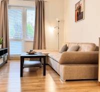 Wohnzimmer in einer 2-Zimmer-Wohnung mit Sofa, Holzboden und Fernseher.