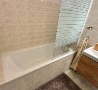 Badezimmer in einer 2-Zimmer-Wohnung mit Badewanne, Waschbecken und dekorativem Grün.
