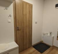 Eingangsflur in einer 2-Zimmer-Wohnung, Boden mit Holzdekor und praktischen Kleiderhaken.