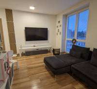 Wohnzimmer in einer Zweizimmerwohnung mit dunklem Sofa und Boden in Holzoptik.