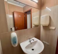 Büros mit Waschbecken, Spiegel und Seifenspender.