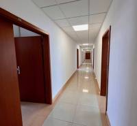 Büros mit einem langen Flur und Türen auf beiden Seiten.