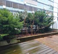 Eine Terrasse mit Pflanzen, ein Boden mit Holzdekor in Bratislava an der Dvořákovo nábrežie.