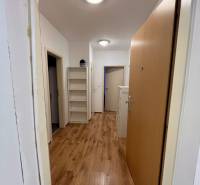 Flur in einer 2-Zimmer-Wohnung mit Holzboden und Regalen an der Wand.