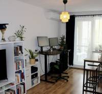 Wohnzimmer mit einem Regal voller Bücher und Trophäen, einem Schreibtisch und Teppichboden.