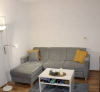 Wohnzimmer in einer Zweizimmerwohnung mit grauem Sofa, Couchtisch und Holzboden.