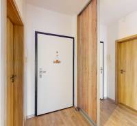 Eingangsbereich einer 3-Zimmer-Wohnung mit Holzboden und Einbauschrank.