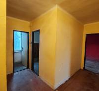 Ein Flur mit drei Räumen in einer 2-Zimmer-Wohnung mit einem Boden in Holzoptik.