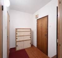 Der Flur in einer Einzimmerwohnung mit einem Schuhschrank, einem roten Teppich und einem Boden mit Holzdekor.