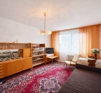 Wohnzimmer in einer Einzimmerwohnung mit Möbeln und einem Teppich mit rotem Muster.