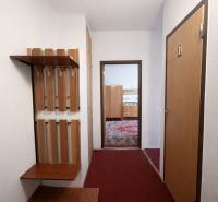 Der Flur einer Einzimmerwohnung mit einer Garderobenwand und Blick in das Zimmer mit Teppich.