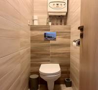 Badezimmer in einer 3-Zimmer-Wohnung mit Toilette und Boden in Holzoptik.