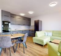 Küche mit Wohnzimmer in einer 3-Zimmer-Wohnung, grünes Sofa, Boden mit Holzdekor.