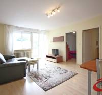 Wohnzimmer einer 3-Zimmer-Wohnung mit Sofa, Tisch und Fernseher auf einem Boden mit Holzdekor.