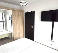 Schlafzimmer mit Fernseher, Kleiderschrank und Holztüren in einer Einzimmerwohnung.