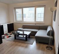 Wohnzimmer mit Sofa, Tisch und Holzboden in einer Einzimmerwohnung.