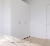 Schlafzimmer mit weißem Schrank, grüner Wand und Pflanzen in einer 3-Zimmer-Wohnung.