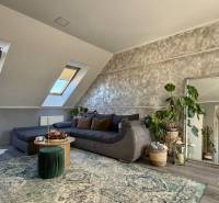 Wohnzimmer in einer 2-Zimmer-Wohnung mit Holzboden, ausziehbarem Sofa und Pflanzen.