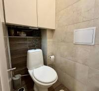 Toilette mit Holzboden in einer 2-Zimmer-Wohnung.