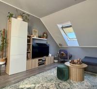 Wohnzimmer in einer 2-Zimmer-Wohnung mit Dachfenster, Holzboden, bequeme Möbel.