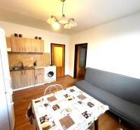 Küche mit Sofa in einem Einzimmerwohnung, Boden mit Holzdekor, Esstisch.