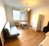 Ein Zimmer in einer Einzimmerwohnung mit Holzboden, Sofa und Kochnische.