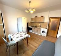 Innenraum einer 1-Zimmer-Wohnung mit Küchenzeile, Wohnzimmer und Boden mit Holzdekor.