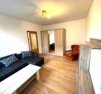 Wohnzimmer in einer Einzimmerwohnung mit einem Sofa und einem Boden in Holzoptik.