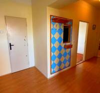 Ein Flur in einem Einfamilienhaus mit einer farbigen Wand und einem Boden in Holzoptik.