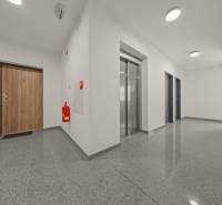 Eingangsflur mit Türen und Aufzug in einer 4-Zimmer-Wohnung, Boden mit Holzdekor.