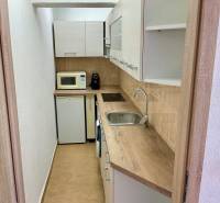 Küche in einer Einzimmerwohnung mit Holzdekor, Mikrowelle und eingebauten Geräten.