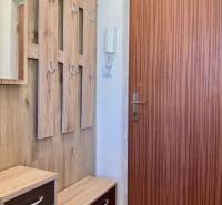 Eingangsflur in einer Einzimmerwohnung mit Garderobenwand und Holzelementen.