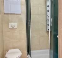 Badezimmer mit Dusche und Toilette in einer Einzimmerwohnung.