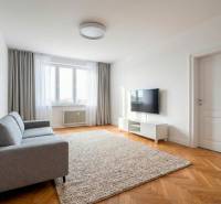 Wohnzimmer in einer 2-Zimmer-Wohnung mit Holzboden, graues Sofa, Fernseher.