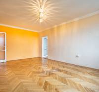 Helles Zimmer mit Holzdekorboden in einer 2-Zimmer-Wohnung mit bunten Wänden.