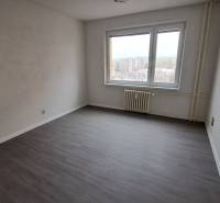 Ein Zimmer mit Holzboden in einer Einzimmerwohnung, ein leerer Raum mit einem Fenster.