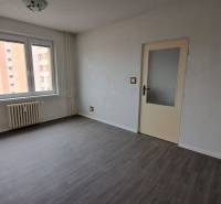 Ein Zimmer in einer Einzimmerwohnung mit einem großen Fenster und einem Boden in Holzoptik.